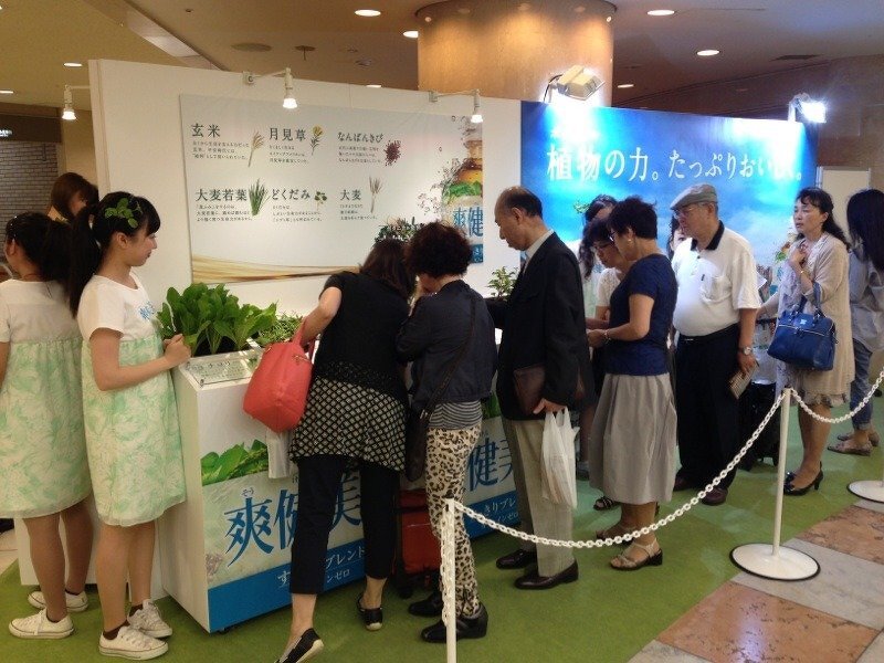 爽健美茶サンプリング