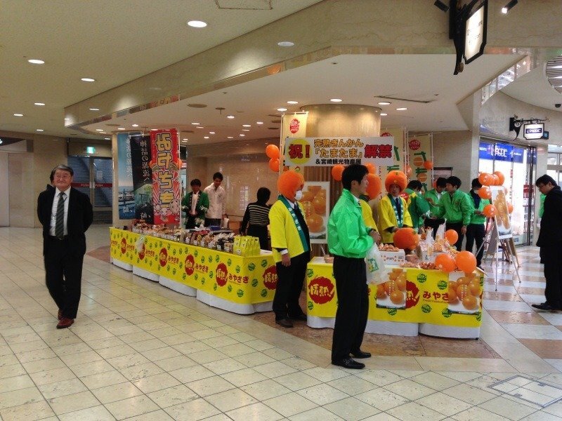 宮崎完熟きんかん“たまたま”初売りプロモーション