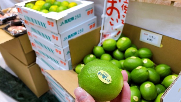 高知県産グリーンレモン